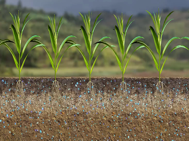 Invest in your soil, above and below the surface (Part 1 - Applying Travertine)